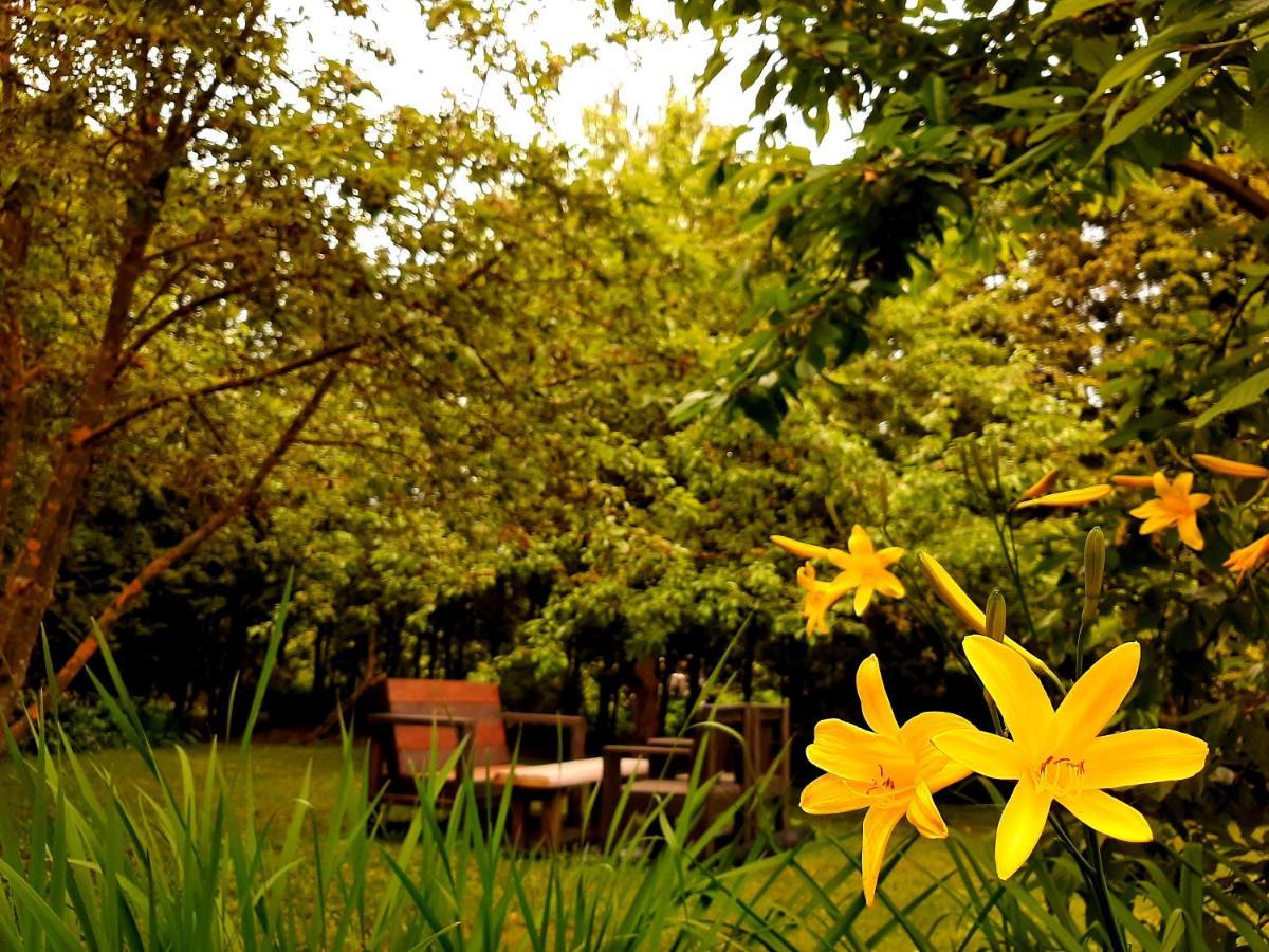 Champetre Park View Apartments ريغا المظهر الخارجي الصورة